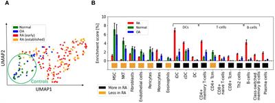 Cell-specific gene networks and drivers in rheumatoid arthritis synovial tissues